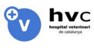 HVC